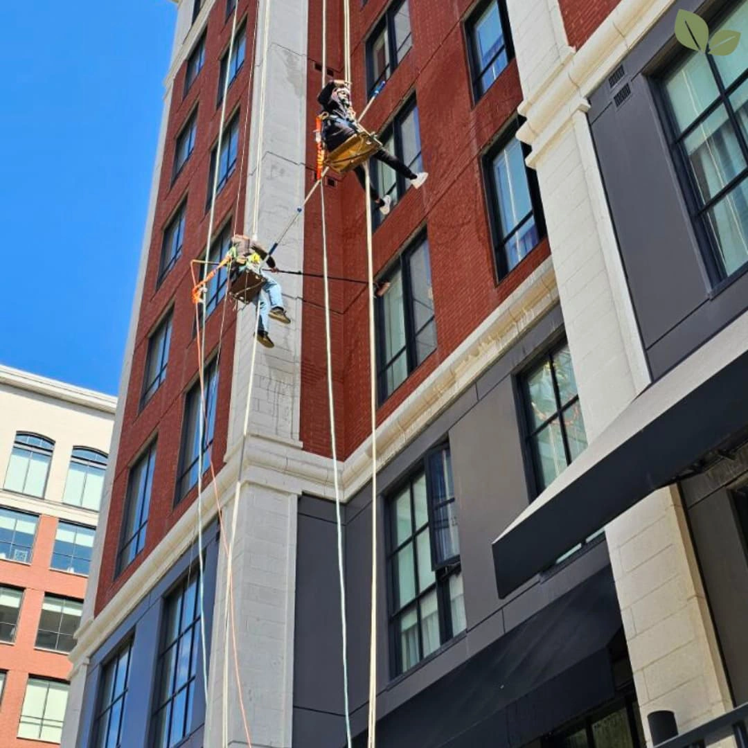 Homa technicians performing high-rise commercial window cleaning using rope access on a multi-story building