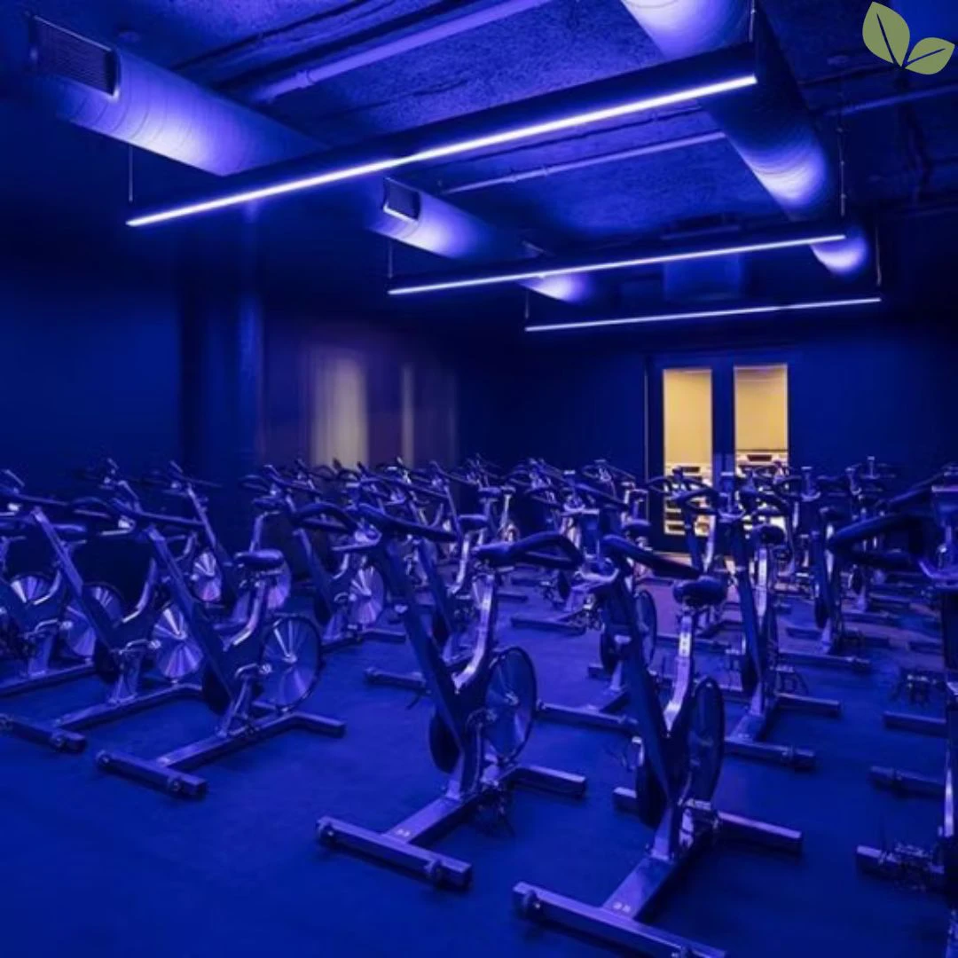 Commercial interior LED lighting illuminating a spin studio with stationary bikes and linear ceiling lights