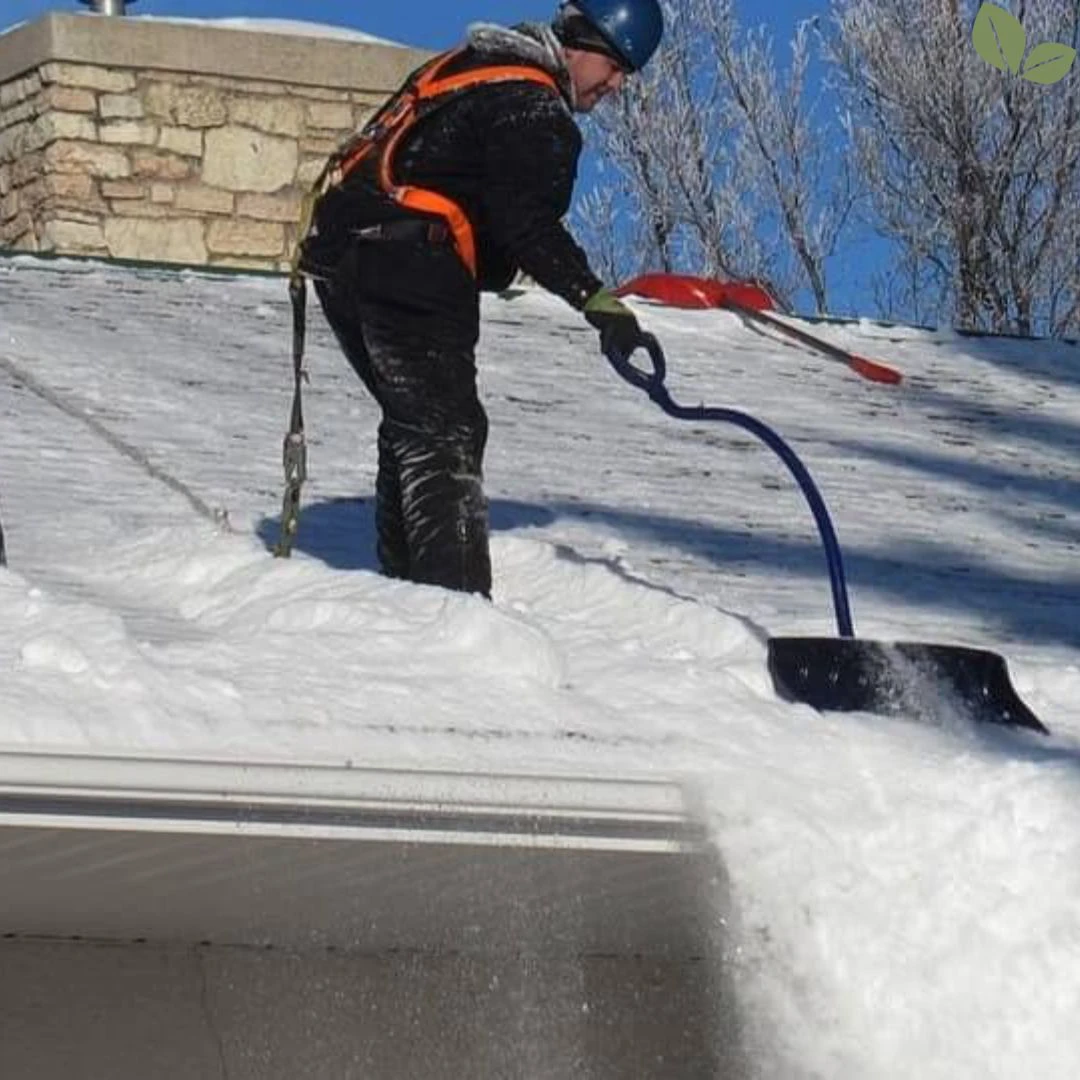 Worker performing commercial roof snow removal using safety harness and shovel to clear heavy snow accumulation