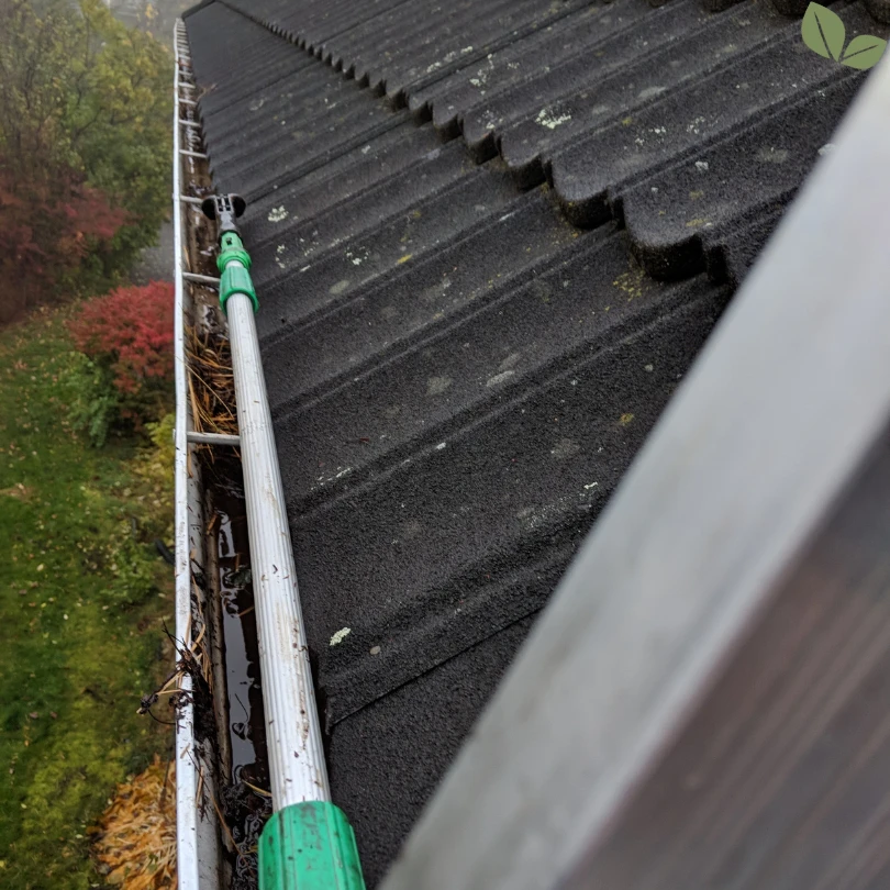 Clogged residential gutters filled with leaves and debris before professional cleaning