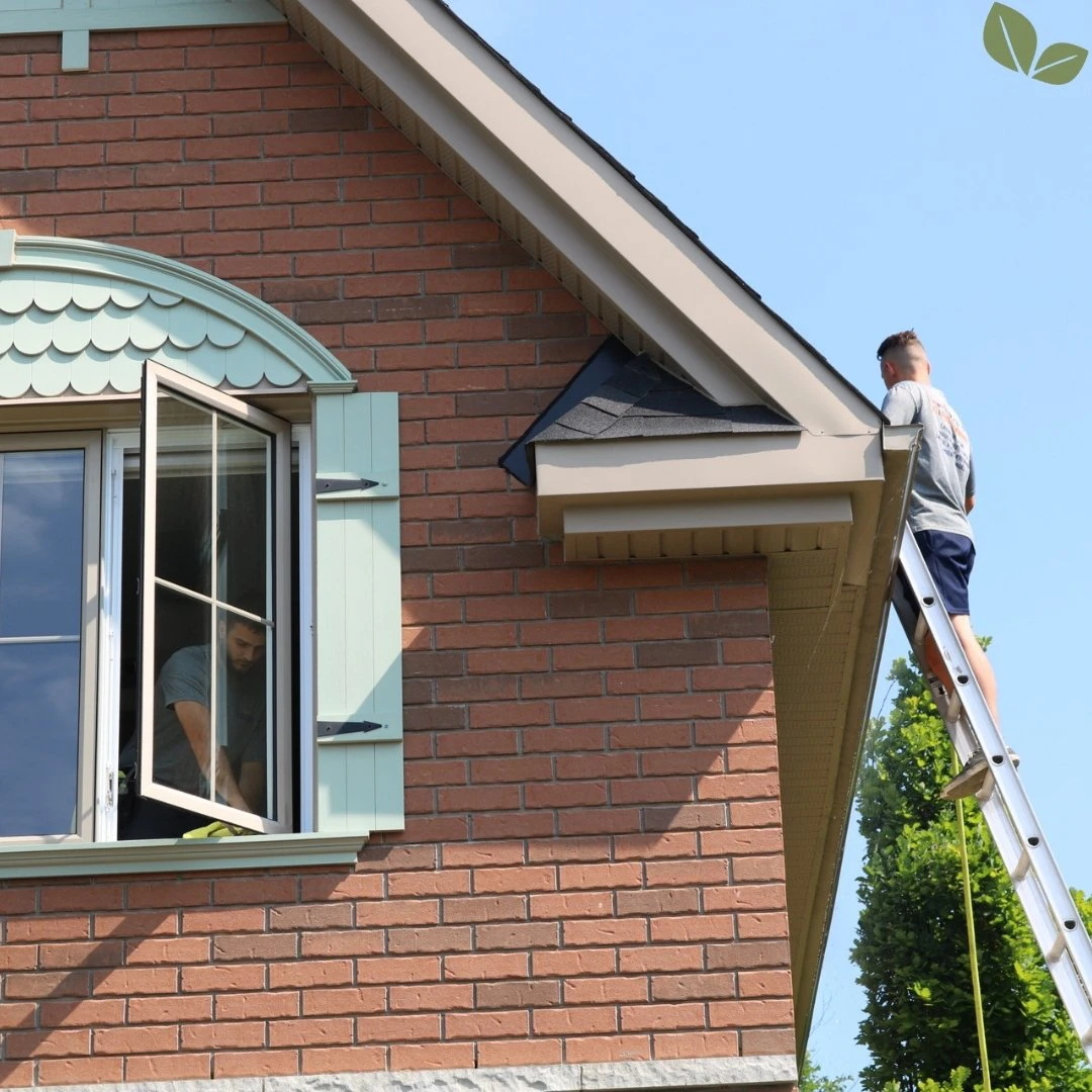 Technician cleaning gutter from ladder while another cleans window inside
