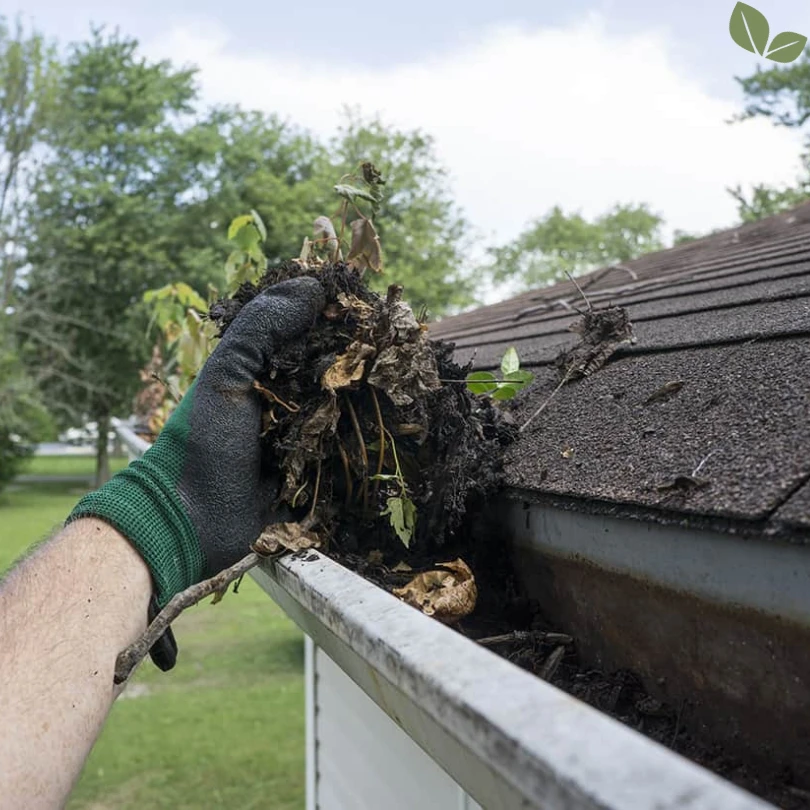 Hand removing leaves and debris from a clogged gutter on a residential roof