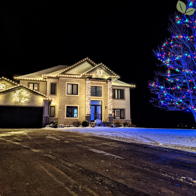 Luxury residential home with professionally installed holiday exterior lighting and illuminated tree at night
