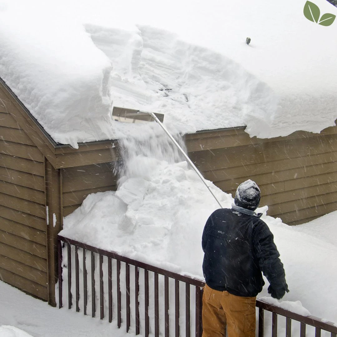 Technician removing heavy snow from a residential roof using a roof rake to prevent ice dams and roof damage